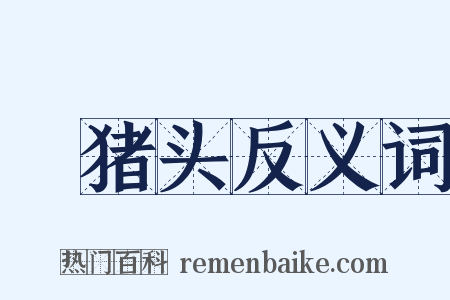 豱猪头反义词是什么意思的图片